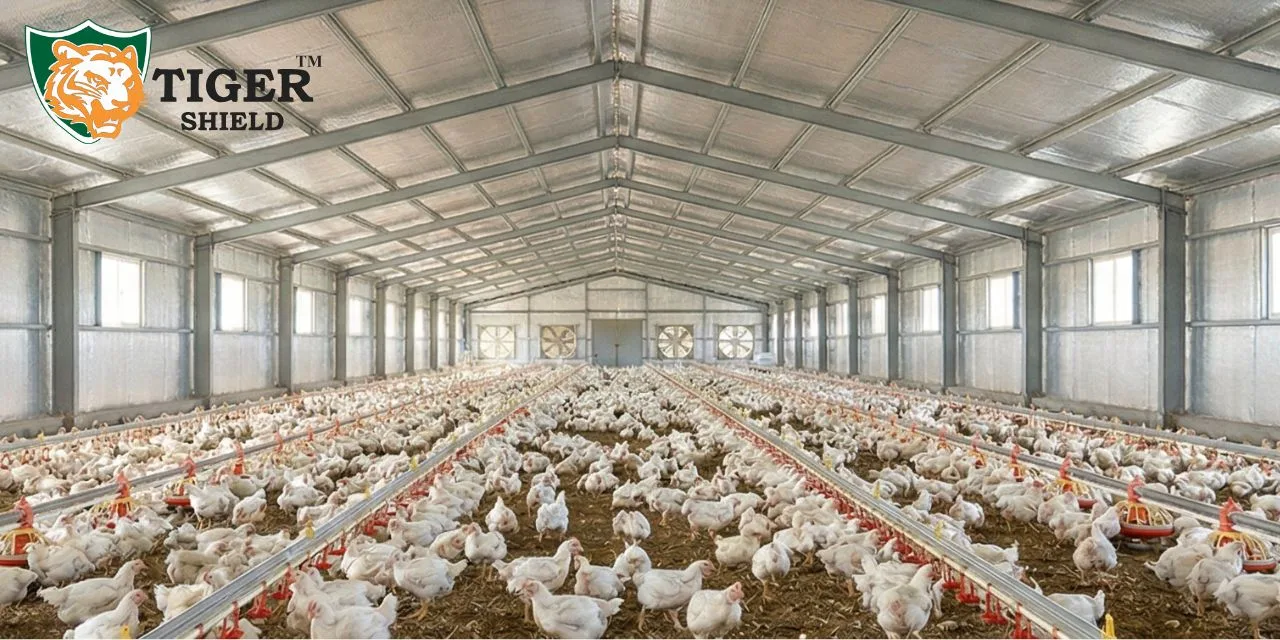 poultry farm bubble insulation manufacturer in india