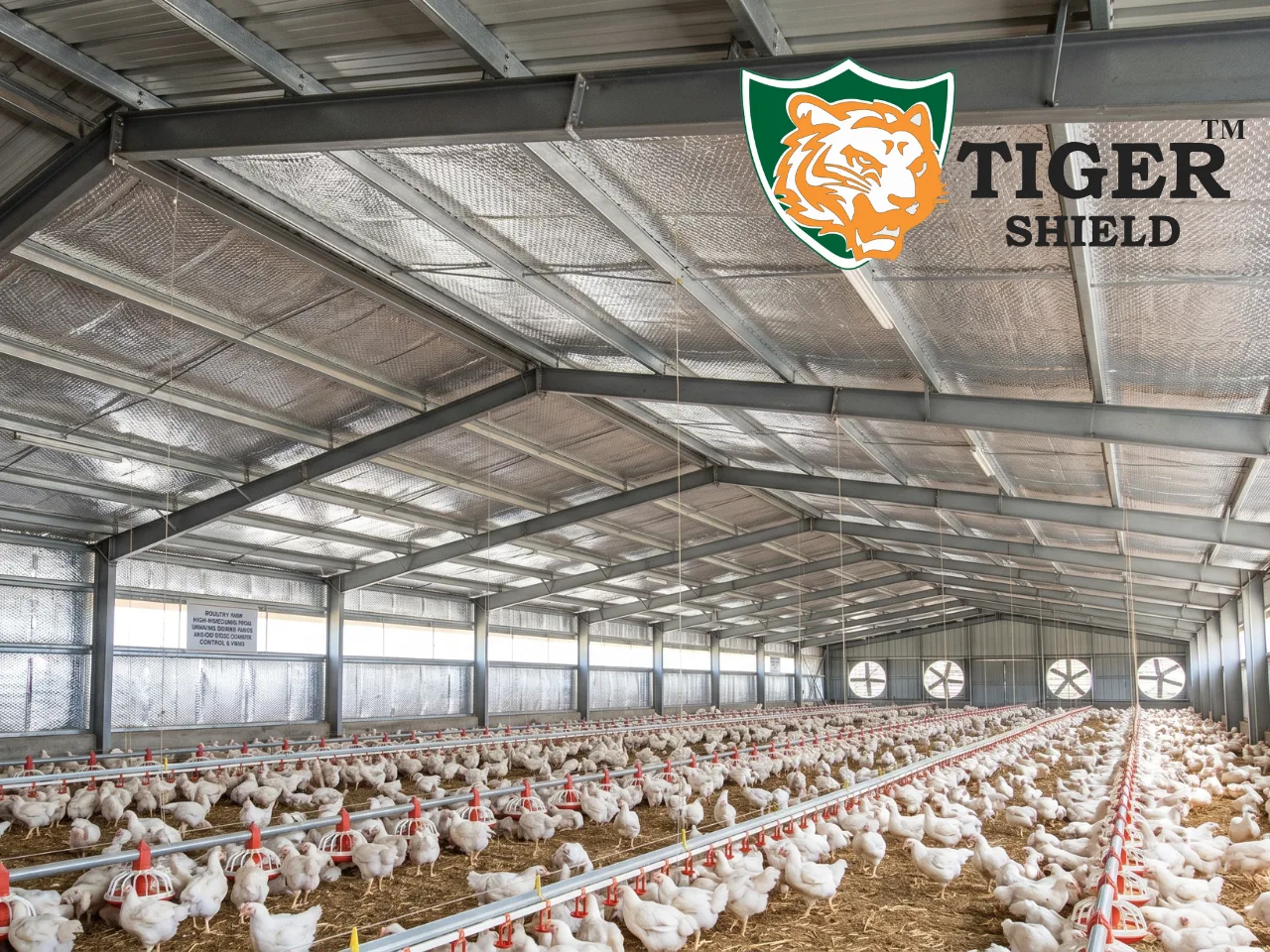 poultry farm using tiger shield bubble insulation in india